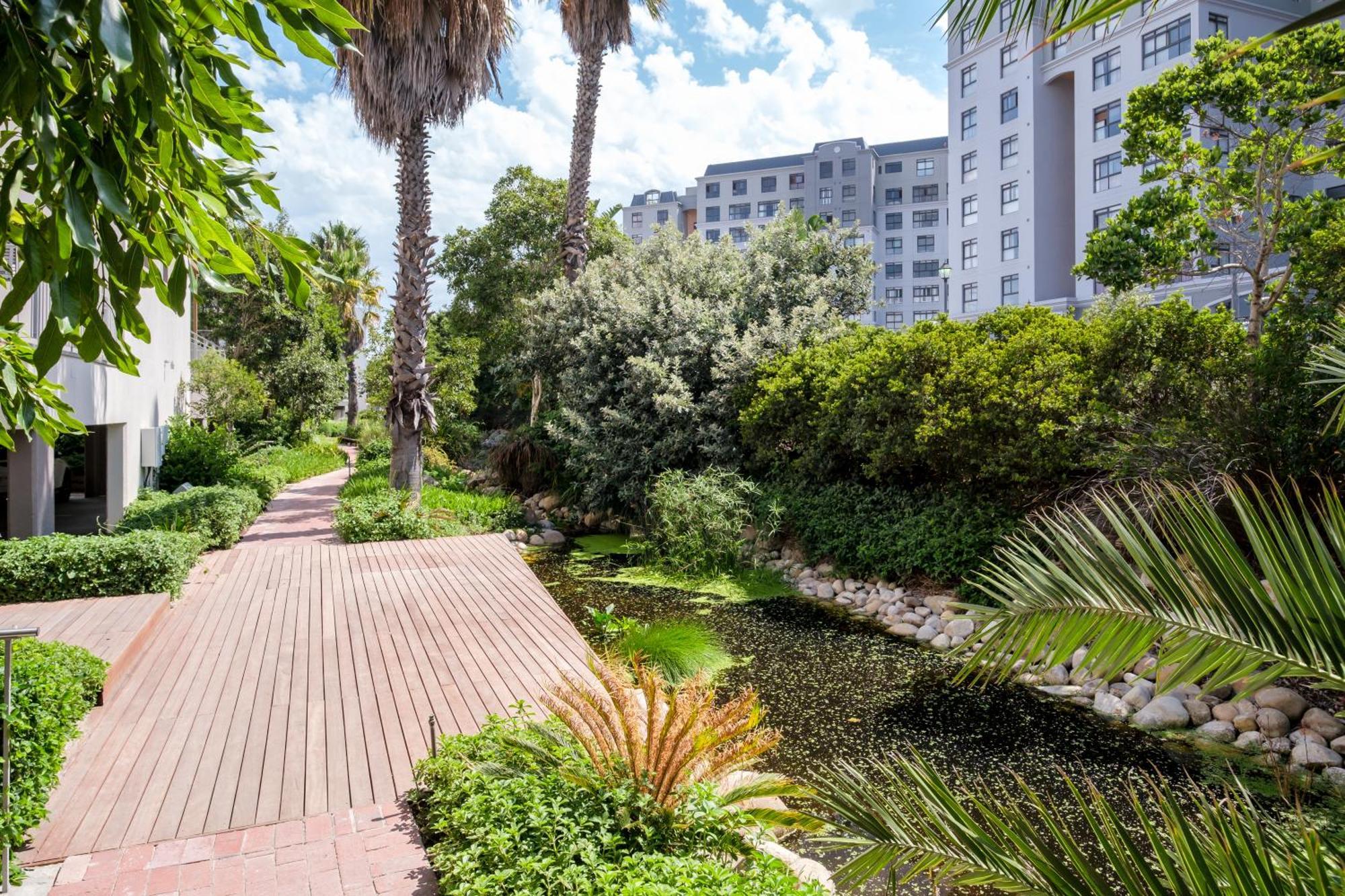 Belina - Mayfair Premier Kaapstad